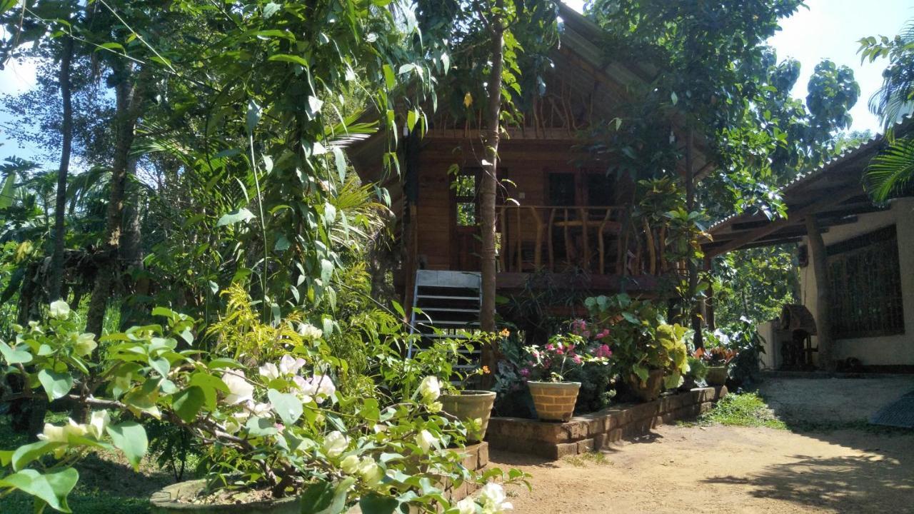 Shan Home Stay Sigiriya Exterior foto